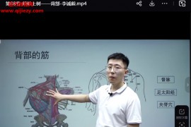 李澤波全集李澤波扁鵲神應四象針華佗摸骨解筋術尋經解筋術視頻課程合集百度網盤下載學習